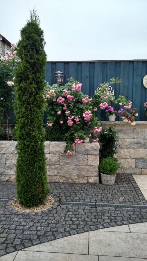 Pension Dorfstrasse 6 Stetten  Екстериор снимка